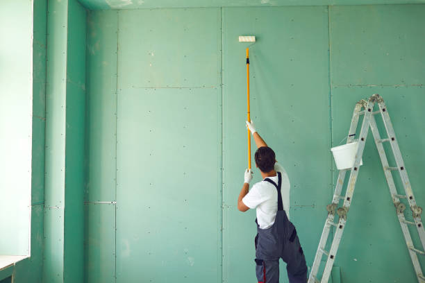 Best Basement Mold Removal  in Kotlik, AK