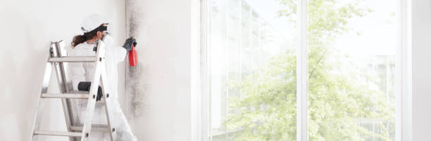 Best Residential Mold Inspection & Testing  in Kotlik, AK